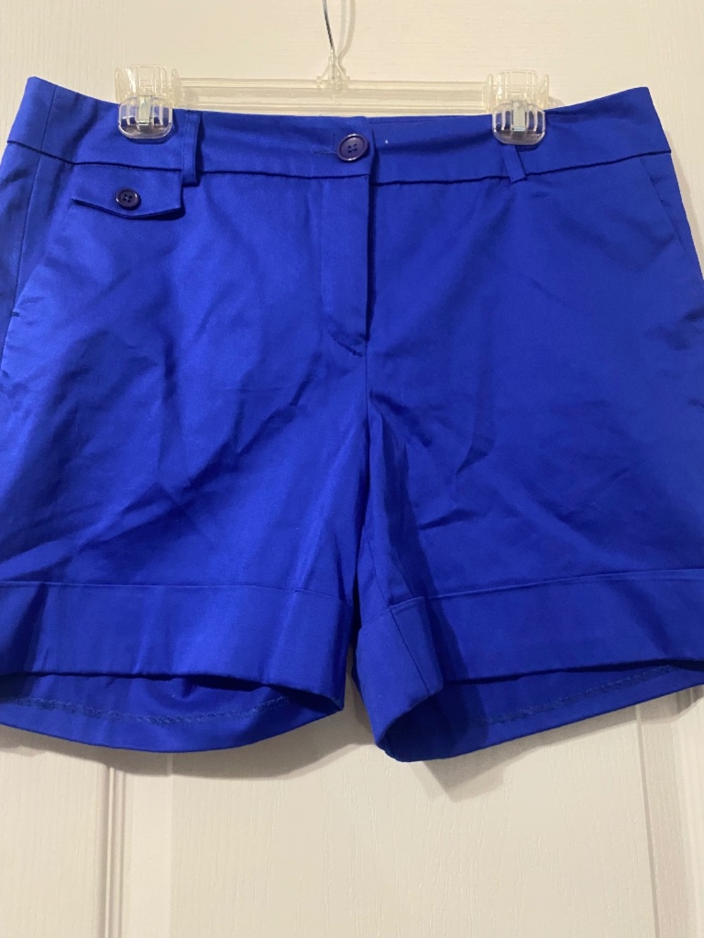 JENNIFER AND GRACE BLUE CASUAL SHORTS SIZE 12